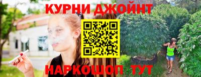 твердый Бердск