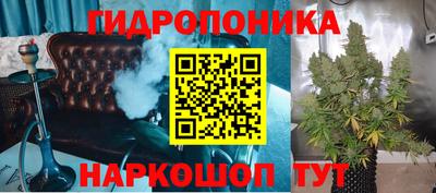 твердый Бердск