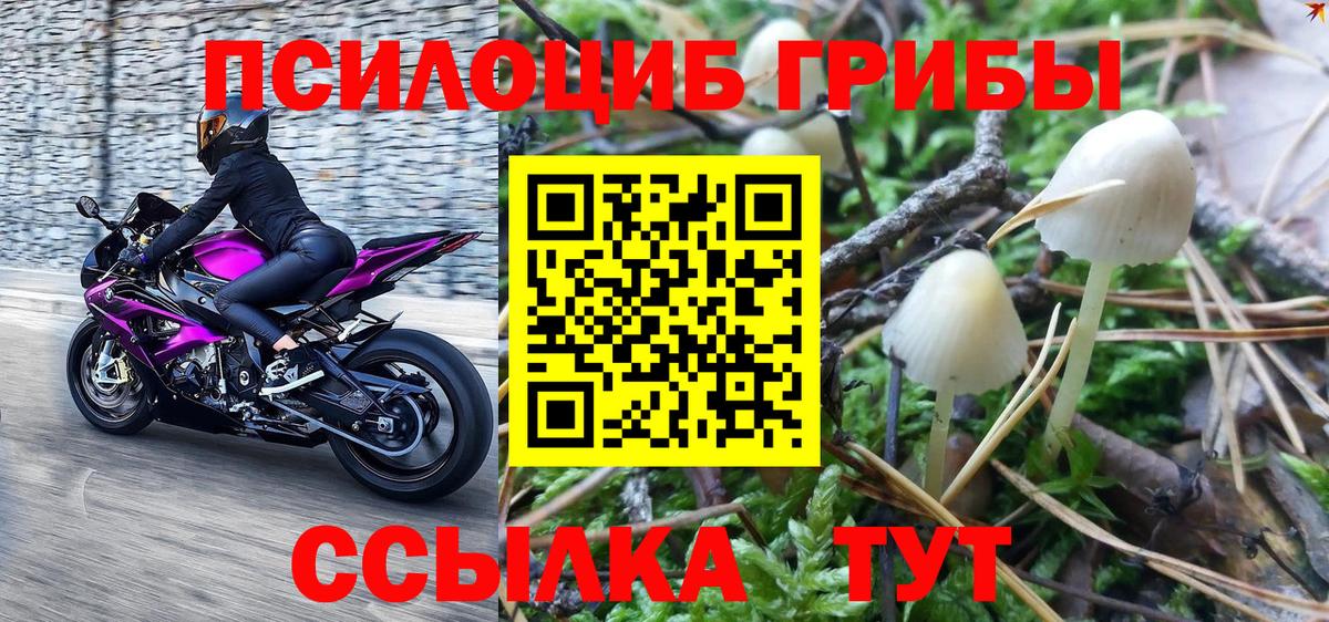 Псилоцибиновые грибы Magic Shrooms  Вход с VPN  Екатеринбург 